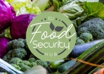 eu food security hub
