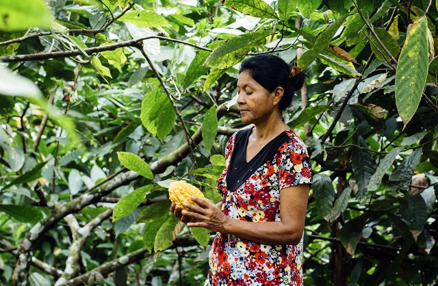 coltivatrice cacao Esmeraldas Ecuador