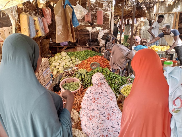 donne in azione per la sicurezza alimentare in niger